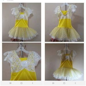 Professional Ballet Layered Tutu Costume